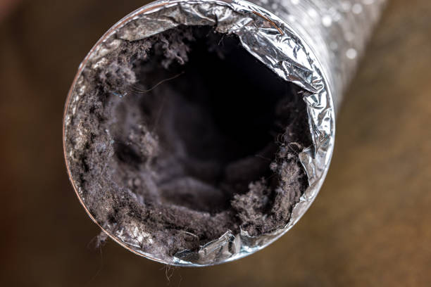Best Air Duct Inspection  in Seneca Knolls, NY